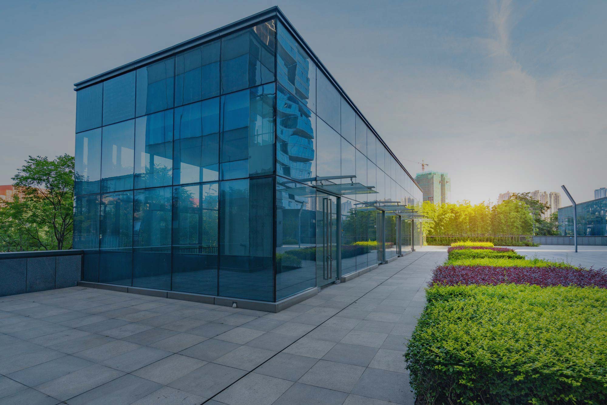 Commercial solar window film UAE